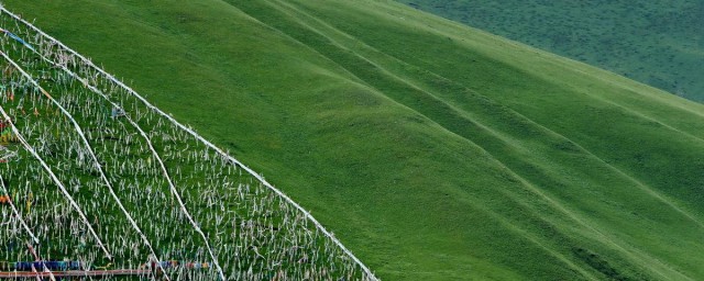 龍燈草原有多大 最大的特色是自然