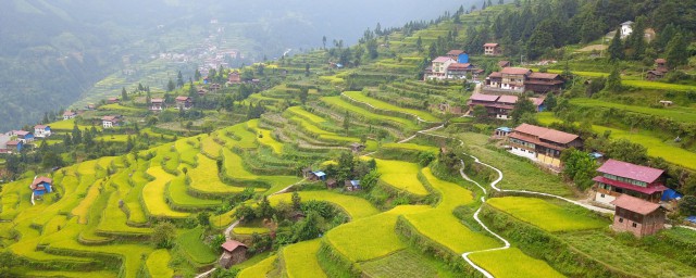 地勢太低對哪些生肖不好 你知道多少