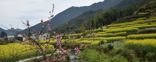 東山飄雨西山晴大結局 潘卓華同門當戶對的方寶琦結為夫妻