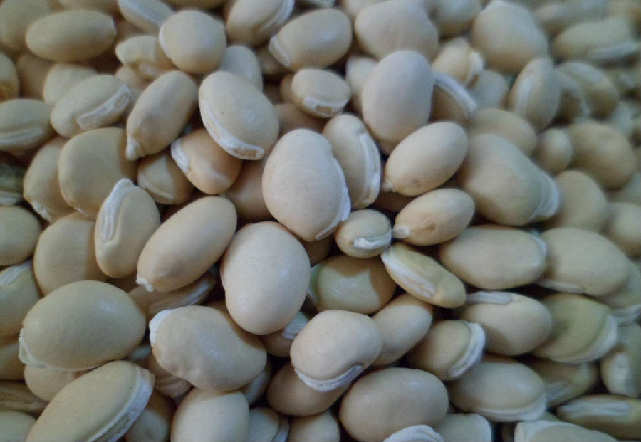 白扁豆的註意事項 適量吃才健康