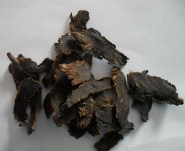 玄參的治病功效強 這樣服用效果好