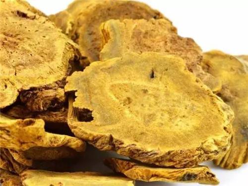 看看大黃的一些治病療方