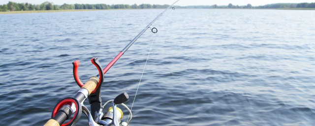 楞巴魚怎麼釣 海釣楞巴魚的垂釣技法