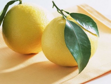 柚子的品種有哪些及什麼品種的柚子最好吃？