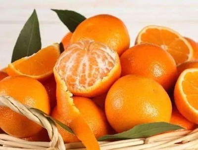 橘子的品種有哪些及什麼品種的橘子好吃
