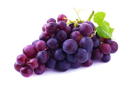 葡萄的種類有哪些一