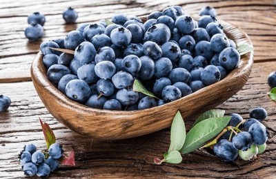 藍莓的品種大全及品種介紹