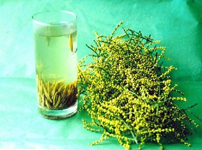 珠蘭花茶的功效與作用及沖泡方法