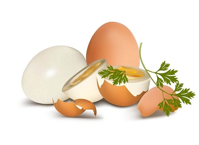 雞蛋各部分的功效作用