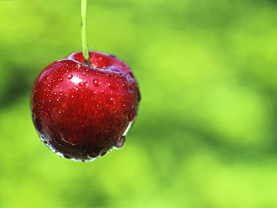 櫻桃的營養價值及功效