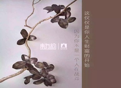 東方韻紫蘇嗼嗼茶“喝”出曼妙身姿