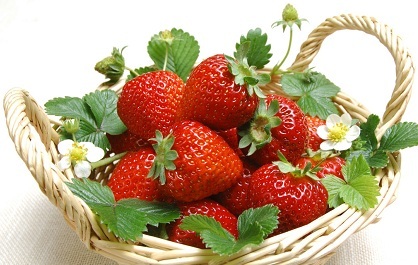 草莓能溫肺補血