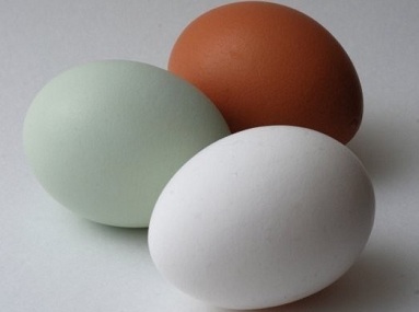 雞蛋殼顏色與營養無關
