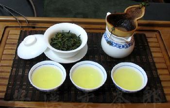 青茶的種類有哪些