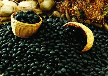 黑豆的功效與作用及食用方法