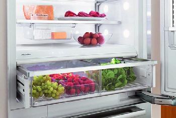 各類食品可在冰箱內放多久
