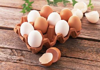 土雞蛋和洋雞蛋的營養區別