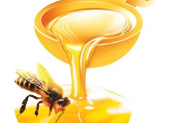 蜂蜜的營養價值