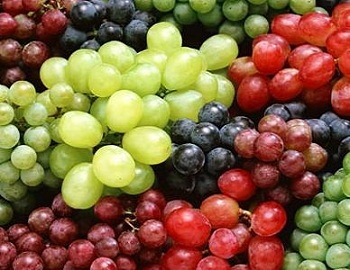 葡萄的功效與作用及食用方法
