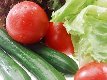 溫度濕度影響蔬菜營養
