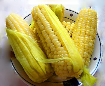 玉米的營養價值