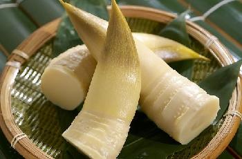 竹筍的種類