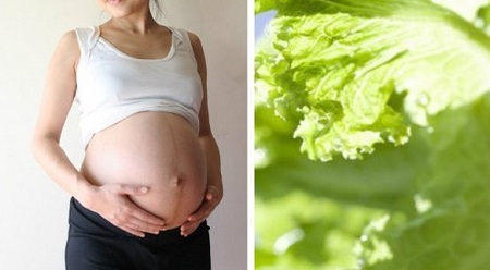 孕婦妊娠前期要多吃生菜