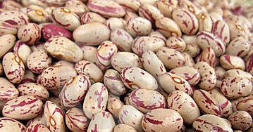 斑豆的營養價值