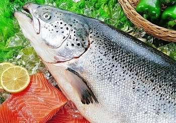 三文魚的營養價值