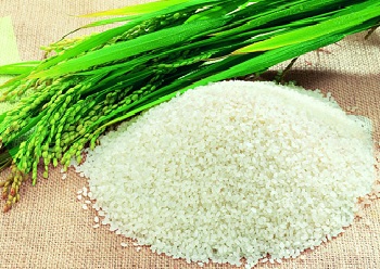大米的食療養生偏方