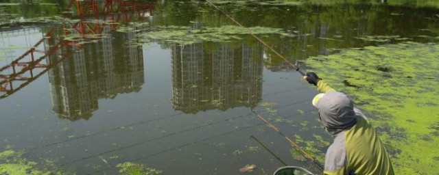 水庫釣大魚技巧 三個技巧分享給大傢