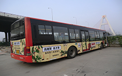 北京810路跨省公交
