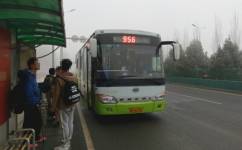 北京956路公交