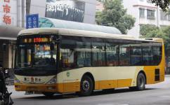 廣州176路2021年8月21日起暫停營運公交