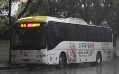 廣州346路公交