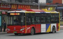 廣州494路公交