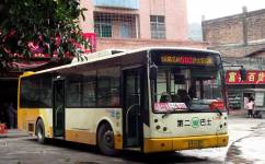 廣州502沙田班車公交