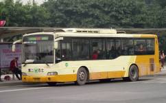 廣州987路公交