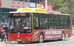 廣州花75A路公交車路線