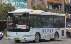 廣州花83B路公交車路線