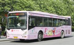 廣州旅遊公交3線公交車路線