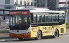 廣州增城31路公交