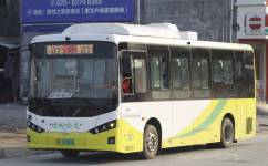 廣州增城33路公交