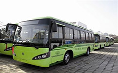 廣州增城55路公交