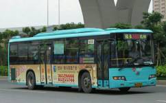 深圳M548路公交