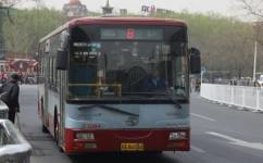 北京8路公交