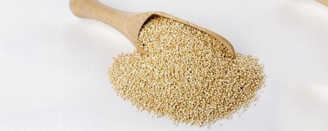 藜米的營養價值及功效 點擊瞭解一下