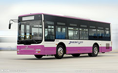 天津462路公交車路線