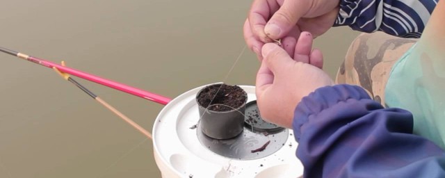 胡椒粉能做釣餌嗎 用胡椒粉做魚餌的方法