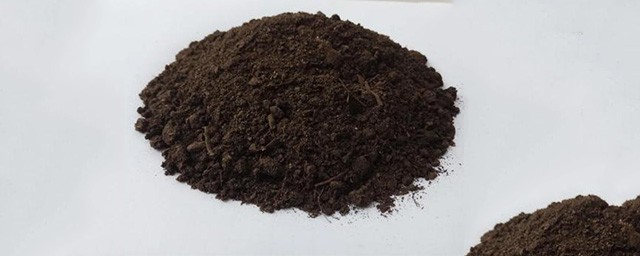 土壤裡有黃曲黴素怎麼辦 如何去除黃曲黴素